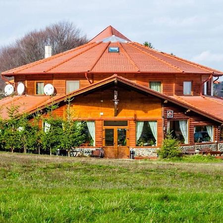 Pensiunea Casa Zmeilor Dragus 外观 照片