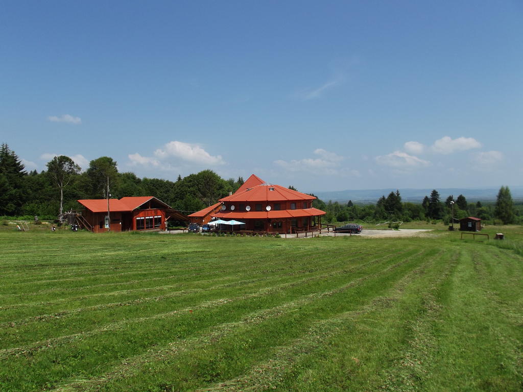 Pensiunea Casa Zmeilor Dragus 外观 照片