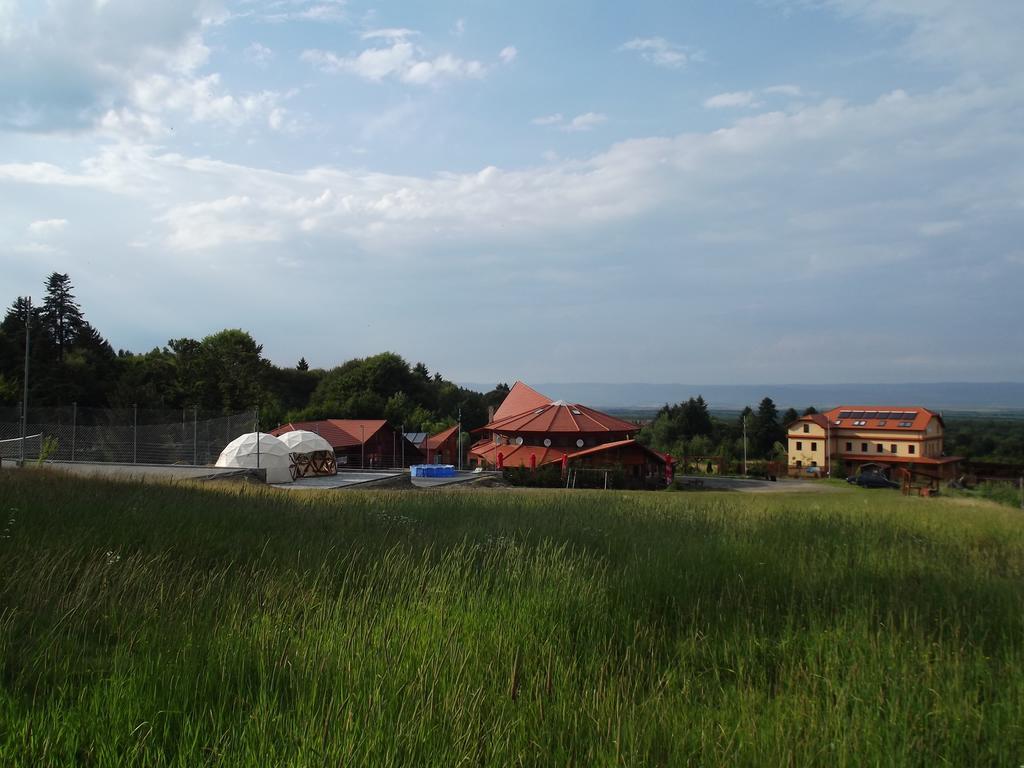 Pensiunea Casa Zmeilor Dragus 外观 照片