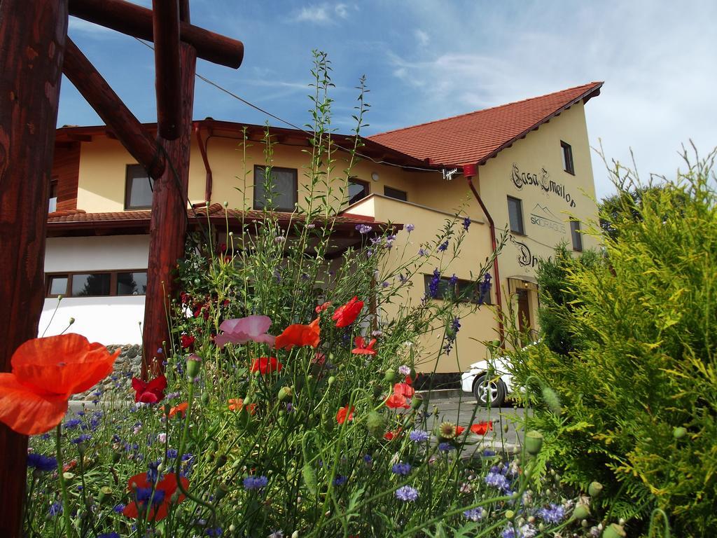 Pensiunea Casa Zmeilor Dragus 外观 照片
