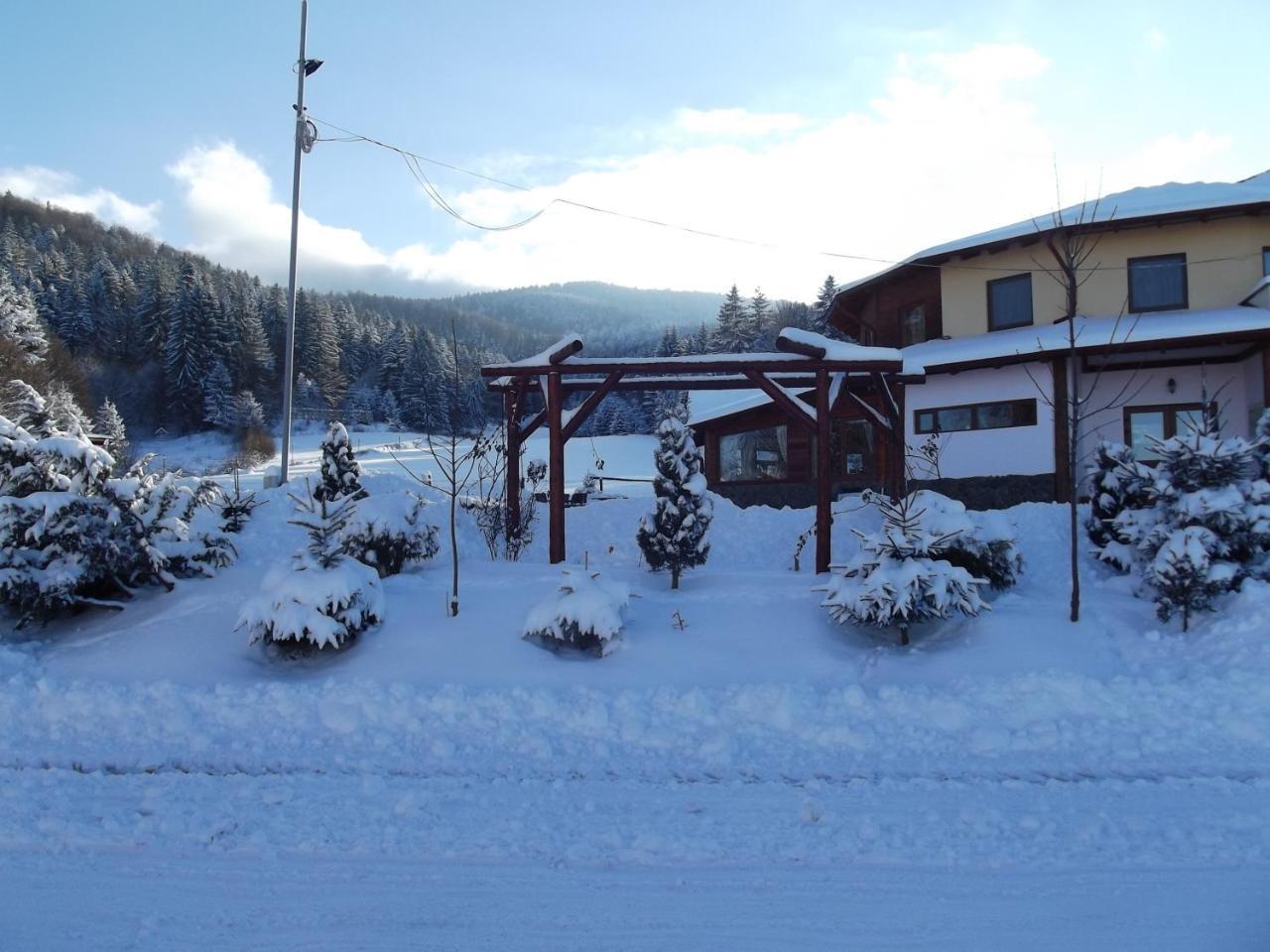 Pensiunea Casa Zmeilor Dragus 外观 照片
